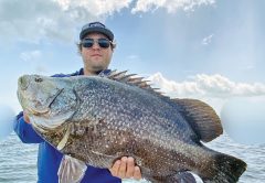 Hunter with a nice tripletail caught in the IRL.