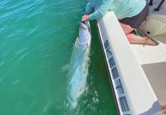 Sammie with a nice tarpon.