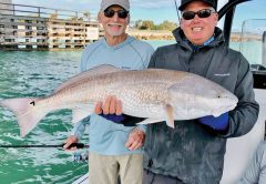 Fred from Jacksonville with one of the big redfish from Sebastian Inlet!