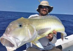 Deep dropping trip produced golden tilefish.