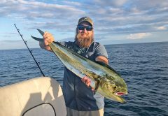Dr. Travis Hunsucker caught this mahi off Sebastian Inlet.