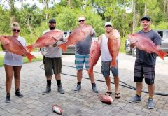 Kaytlyn, Ronnie, Keith, Matson and Brandon had a fine day catching their limit of red snapper.