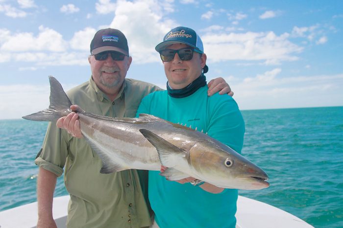 Cobia Fishing in the Florida Keys