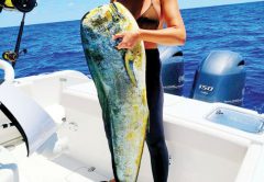 Jennifer Hodge hauled in this monsterous mahi fishing about 50 miles east of the Brevard coastline.