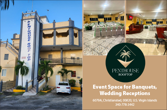 Penthouse Rooftop 1125