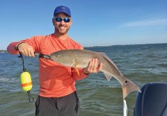 Rick Renfo with a slightly over-slot sized redfish caught on a live fingerling mullet.