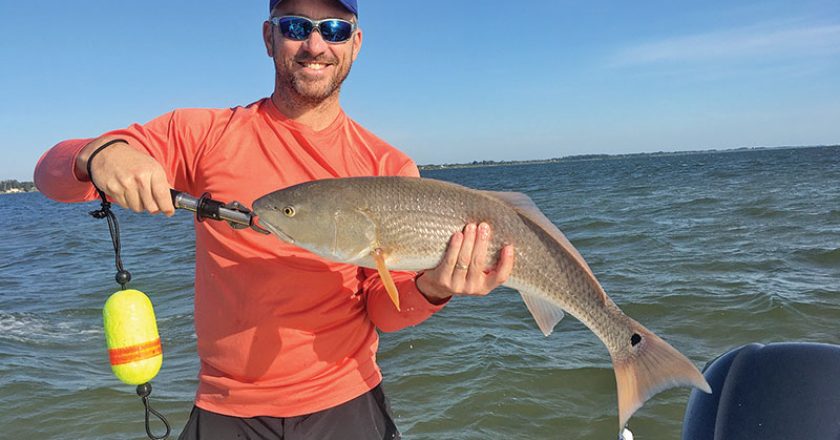 Rick Renfo with a slightly over-slot sized redfish caught on a live fingerling mullet.