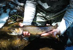 Good Fishing Starts With Good Stewardship