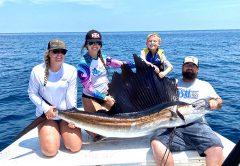 Kaytlyn, Katelin, Brantley and Ronnie hooked this nice 80-90 lb. sailfish out of Sebastian in 400ft. of water.