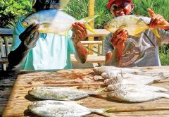 Pompano makes for some great table fare.