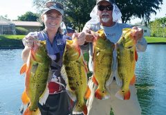 Doug Harris and Sabrina Barnes with some pretty peas!