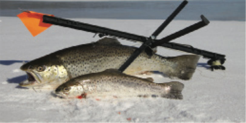 Trout are always willing in cold water. Be aware that they can cruise at any depth. Photo by Tom Schlichter.