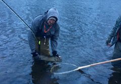 Wayne-O’s Guide Service