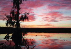 Central Florida Inland fishing