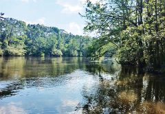 Georgia’s Flint River Shoal Bass