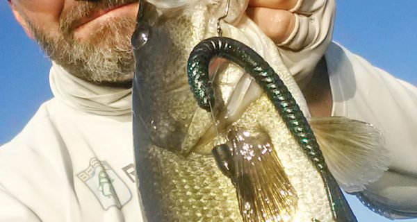 A nice Deerpoint bass caught punching a Gambler Burner worm into a mat.