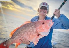 A nice snapper caught aboard Lion’s Tale Adventures.