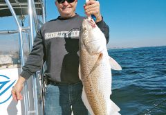Aaron bagging bull reds on the C-note boat.