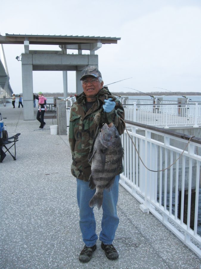 Mt Pleasant Pier July Fishing Forecast - Coastal Angler & The Angler  Magazine