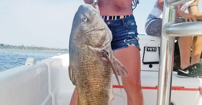 Andi Holmes had a time with this big black drum fishing with Capt. Jason.