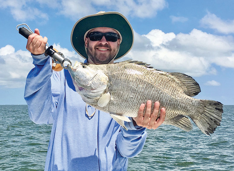Another giant tripletail caught with Robinson Brothers.