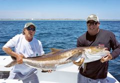 A nice Destin cobia.