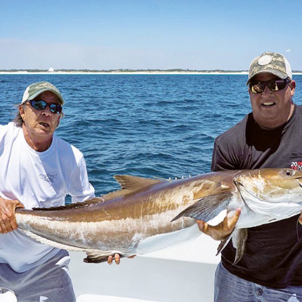 A nice Destin cobia.