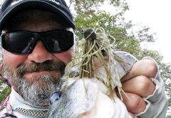Bigguns with the Gambler Double Weed Gaurd Jig & Mega Daddy Craw.