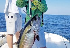 Britt Cotton with this nice light tackle blackfin tuna on the Adrenaline boat. Capt. Jason was impressed!