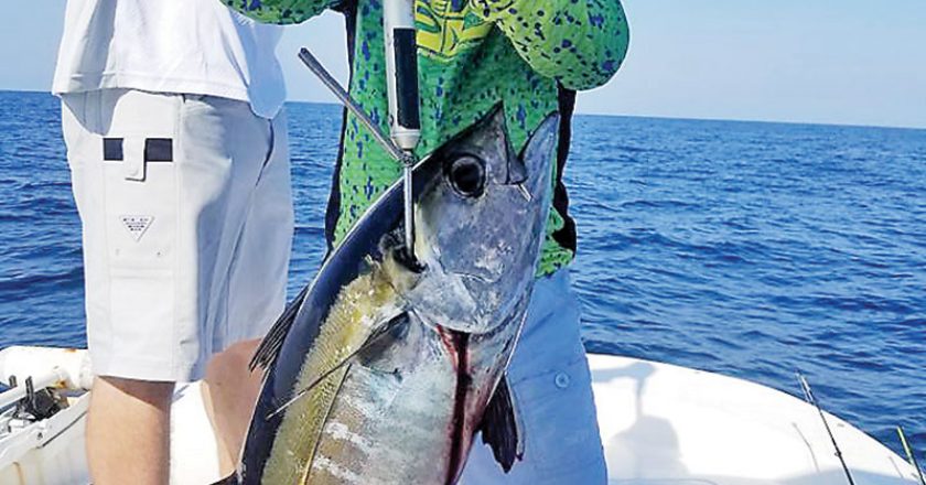 Britt Cotton with this nice light tackle blackfin tuna on the Adrenaline boat. Capt. Jason was impressed!