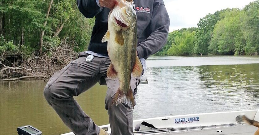 C-note with a fine Chipola River bass.