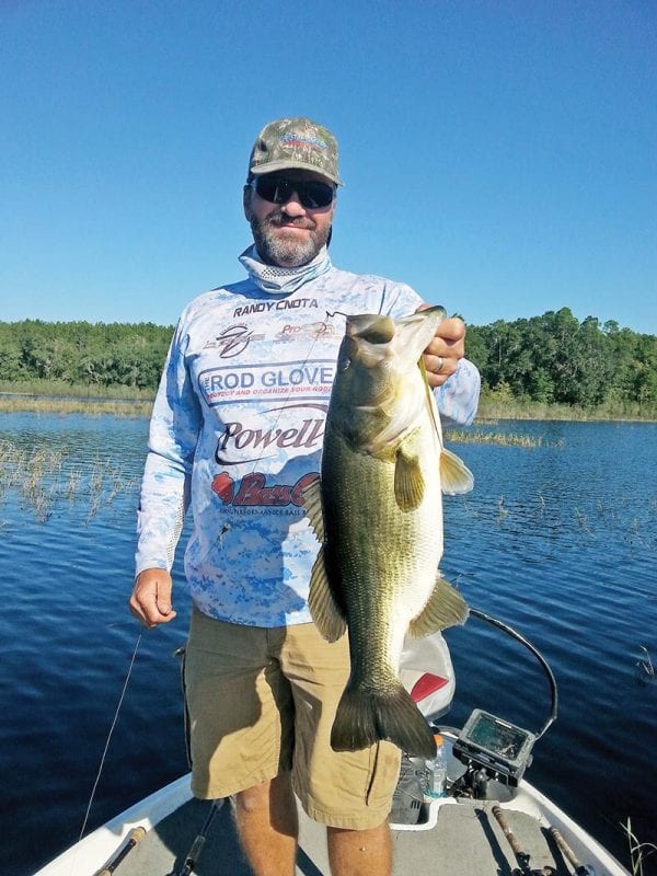 Lake Jackson Fishing Forecast Nov. 2017 Coastal Angler & The Angler