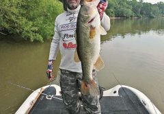 C-note with a stud Apalachicola river bass.