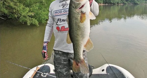 C-note with a stud Apalachicola river bass.