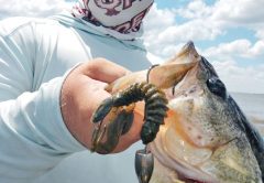 CJ Lockamy learning quickly how to punch mats for Seminole bass in C-note’s Bass Class.