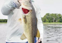 CJ Lockamy with a fine Seminole bass during Bass Class with Capt C-note.
