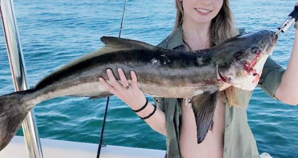 Caitlyn Smith with a nice cobia on the Adrenaline boat.