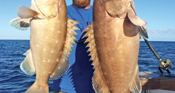 Capt. Adam with a pair of big snowy groupers caught with New Lattitude Sportfishing.