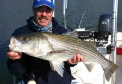 Capt. McManus striper