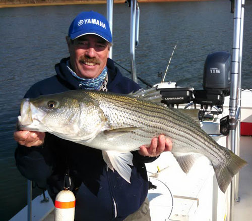 An Argument For Stocking Stripers In Lake Fontana - Coastal Angler & The  Angler Magazine