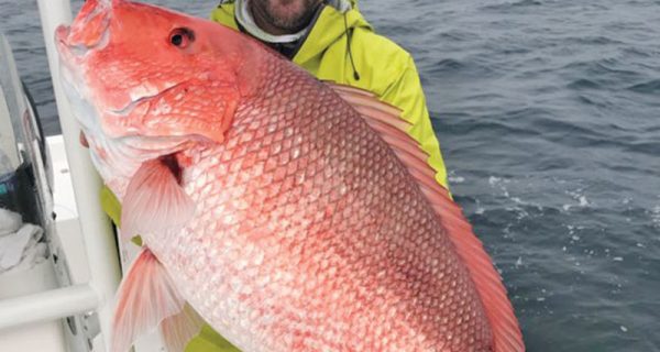 Capt. Phillip Wilds of Anchored Charters in PCB with a giant red snapper.