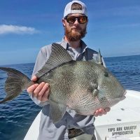 Capt Scott Fitzgerald of Madfish Charters putting his clients on the groceries with this giant triggerfish.