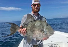 Capt Scott Fitzgerald of Madfish Charters putting his clients on the groceries with this giant triggerfish.