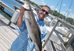 Cobia season begins!
