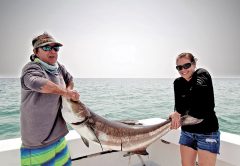 Cobia season is here and they are big!