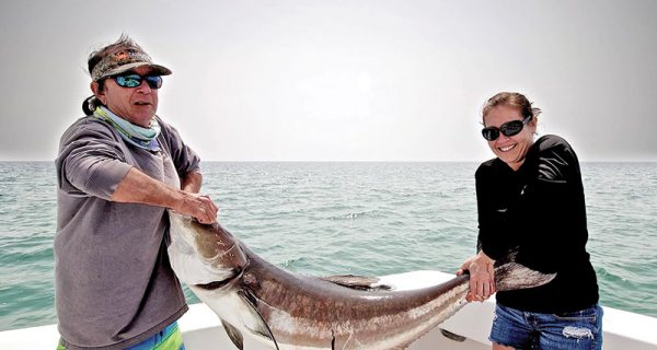 Cobia season is here and they are big!