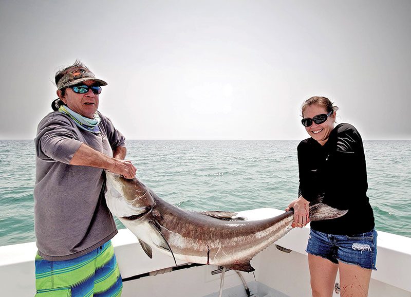Cobia season is here and they are big!