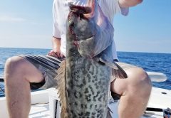 Darin Vaughn doing some inshore grouper work on the Adrenaline boat.
