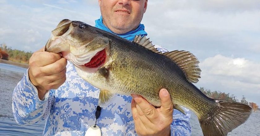 Deerpoint Lake resident Chris Sabo caught this bass on his home lake.