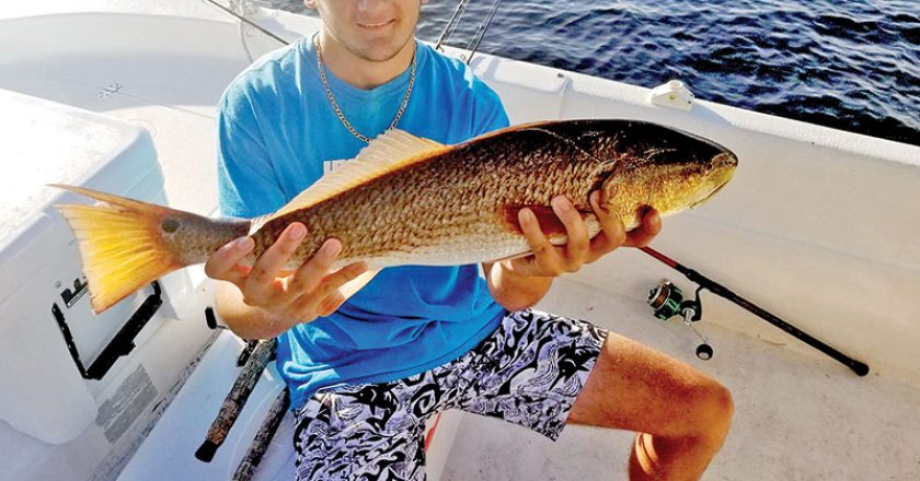Dylan Shingler getting in some redfish action with Dad.